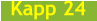 Kapp 24