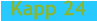 Kapp 24